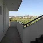 Kostas