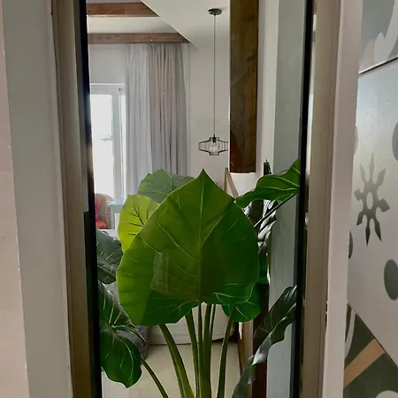Apartment Kostas Faliraki